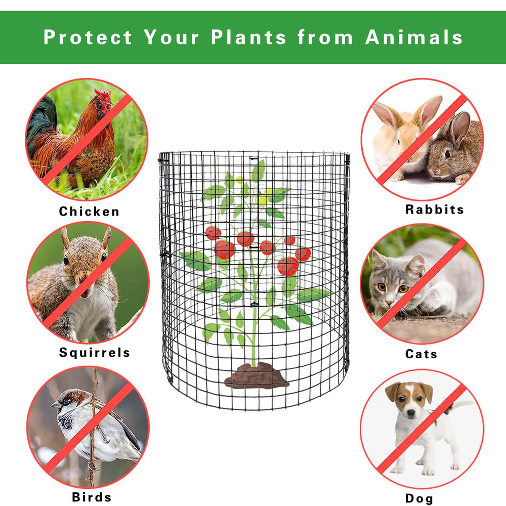 Benwanfee assembled 12x12 wire cage protecting young plant and allowing growth