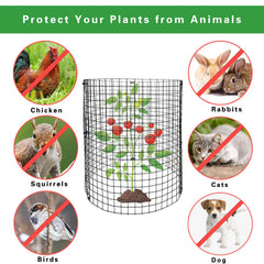 Benwanfee assembled 12x12 wire cage protecting young plant and allowing growth