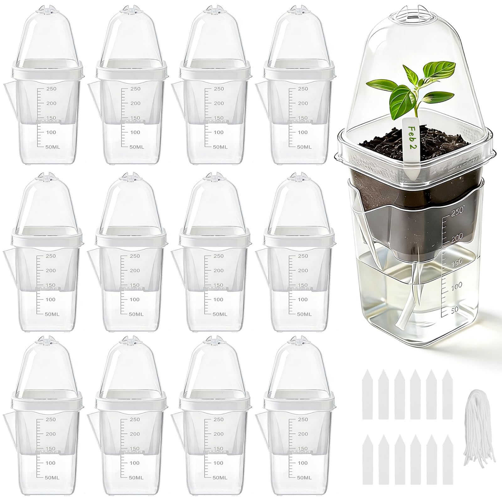 Benwanfee front view of full propagation pot kit showing clear cup and dome for easy monitoring