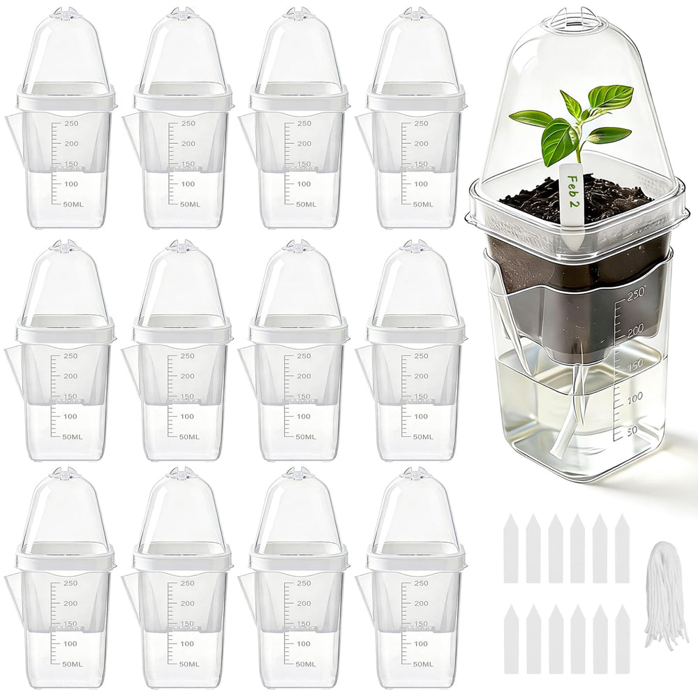 Benwanfee front view of full propagation pot kit showing clear cup and dome for easy monitoring