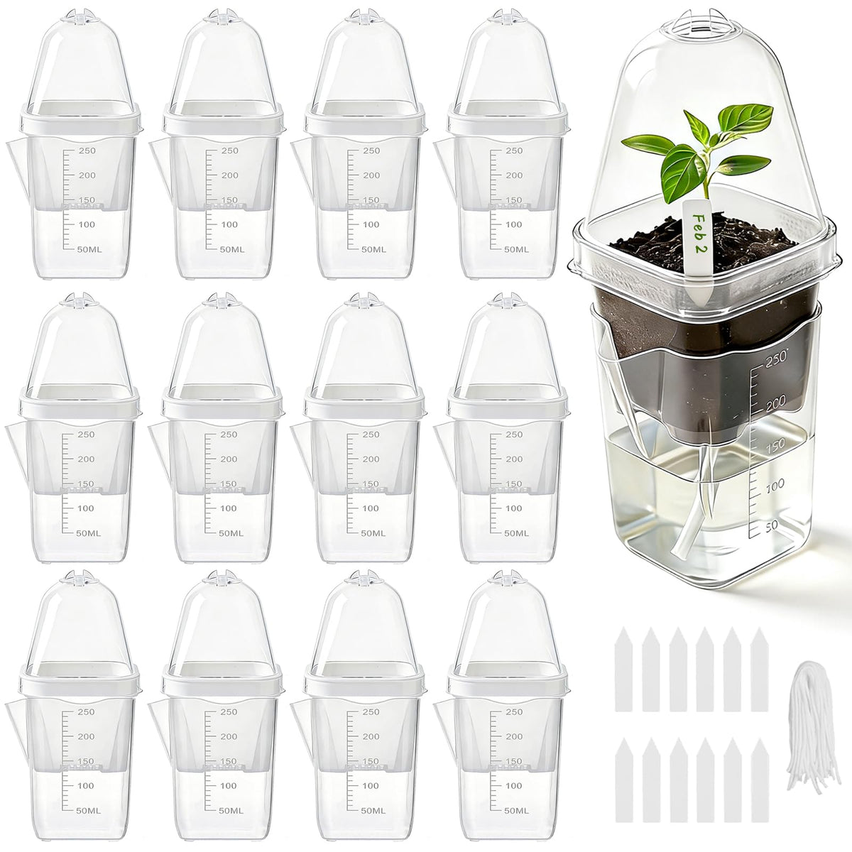 Benwanfee front view of full propagation pot kit showing clear cup and dome for easy monitoring