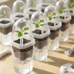 Benwanfee humidity dome close-up demonstrating trapped moisture for faster germination