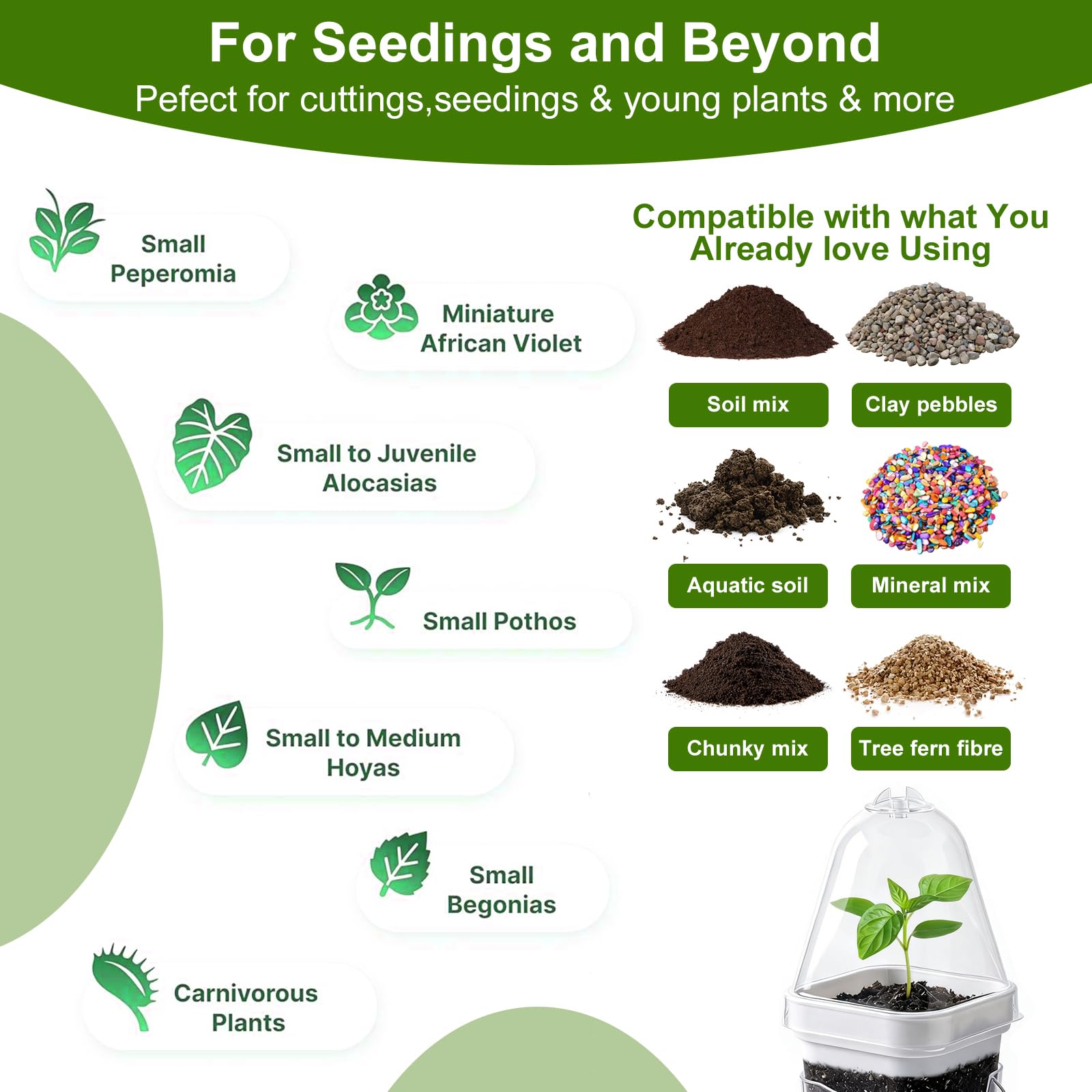 Benwanfee plant labels and markers laid out for organized seed identification and tracking
