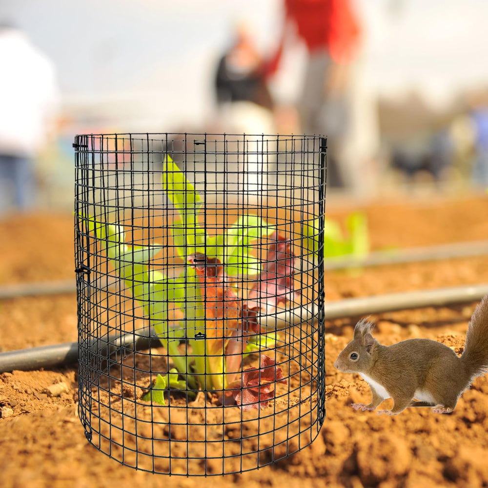 Benwanfee hand next to panel showing 12-inch scale and easy planting fit