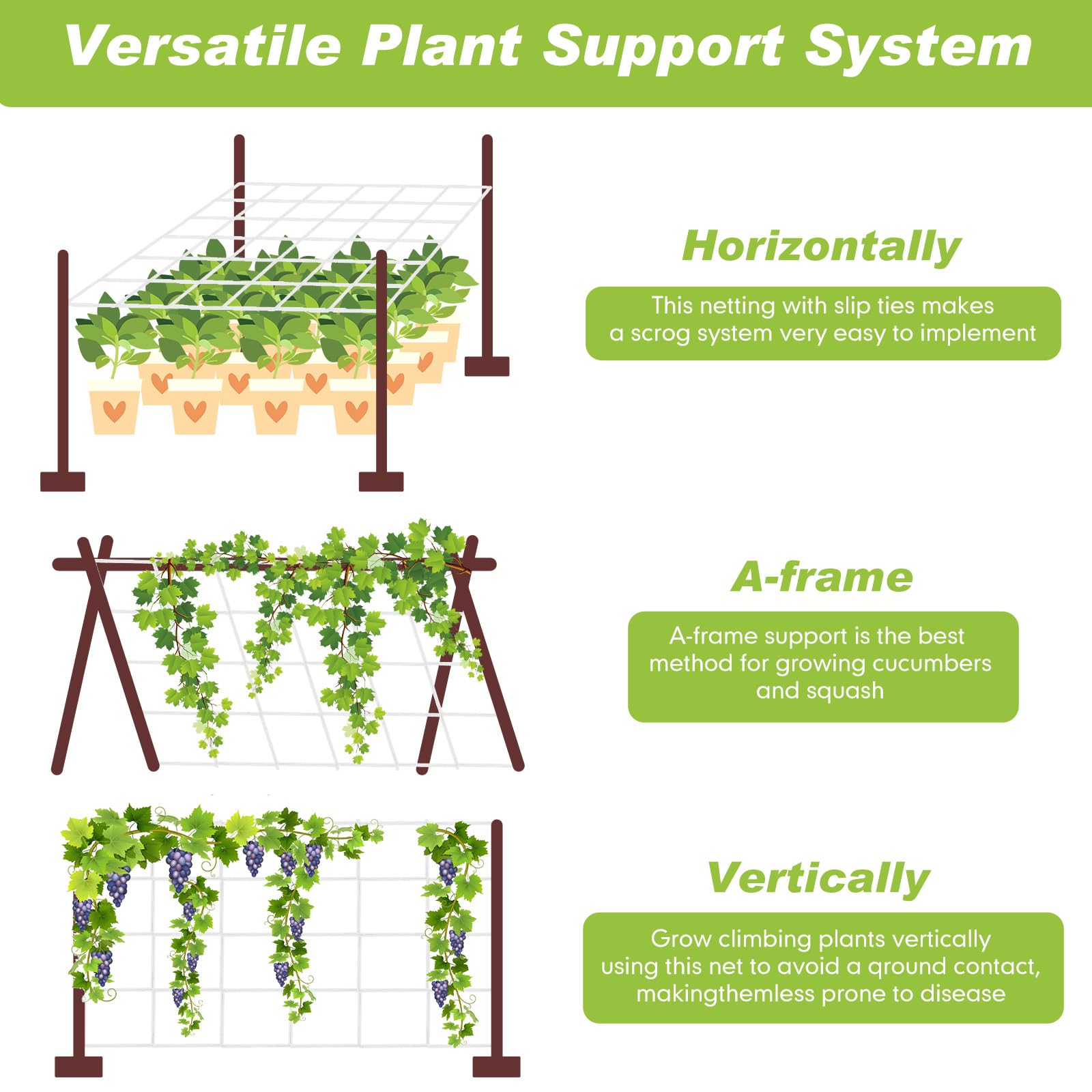 Berlune net supporting grape vines on a backyard trellis for orderly growth