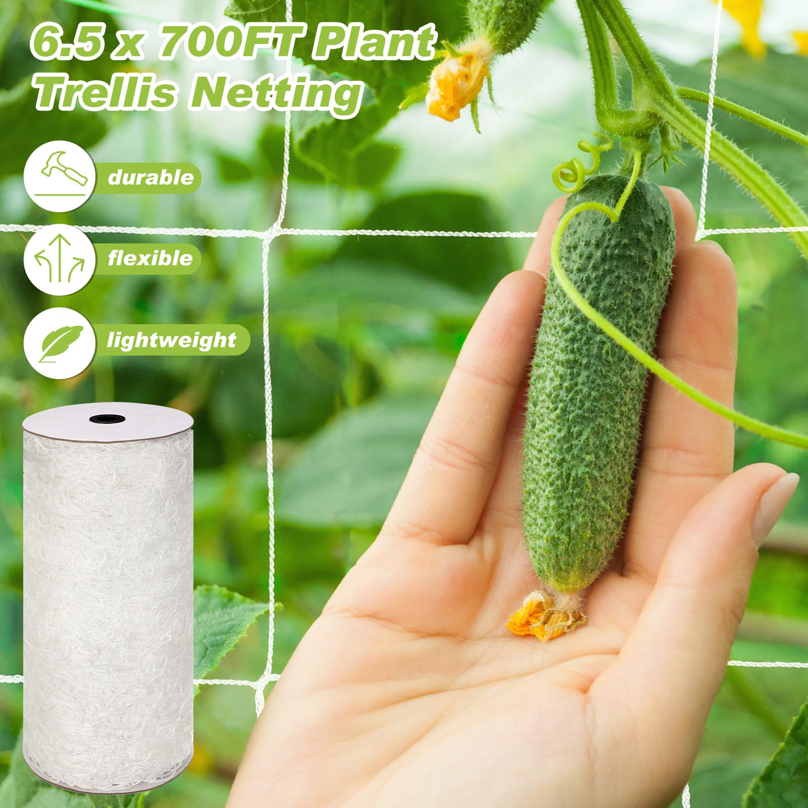 Berlune trellis net in use with beans and peas boosting vertical yields