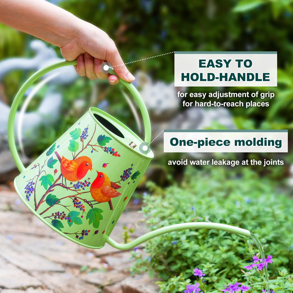 Berry&Bird close-up robin illustration showing durable finish and decorative appeal benefit