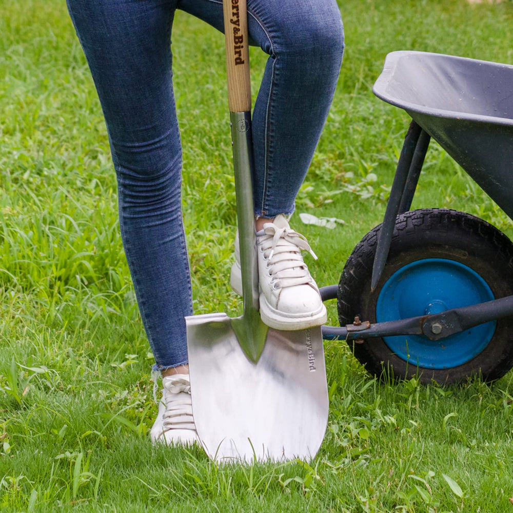 Berry&Bird shovel beside ruler showing 40.98 inch length for leverage