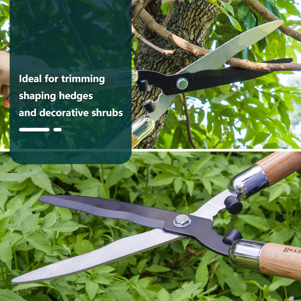 Berry&Bird shears in use trimming a box hedge for precise border shaping
