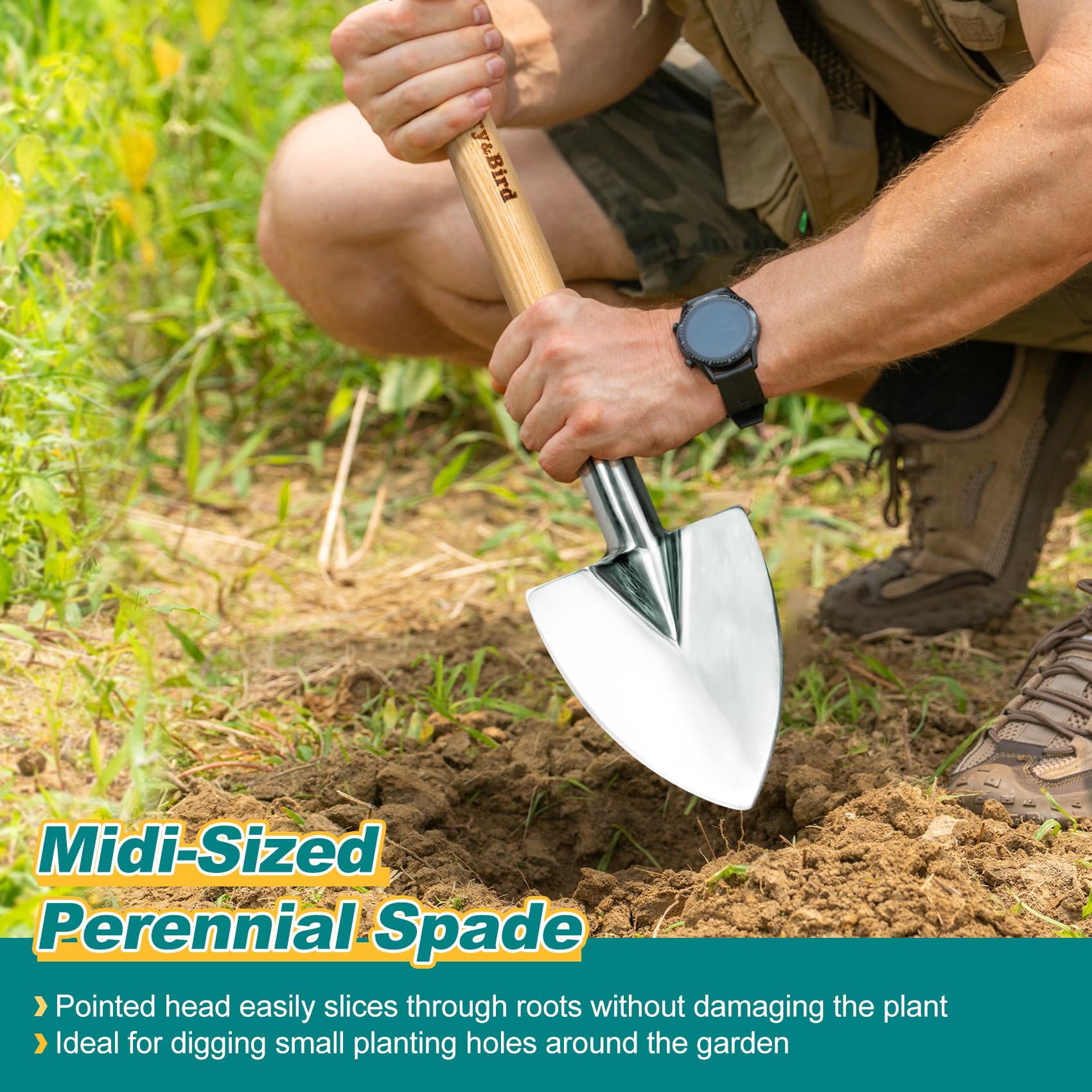 Berry&Bird spade next to ruler showing 21.6-inch scale benefit added reach