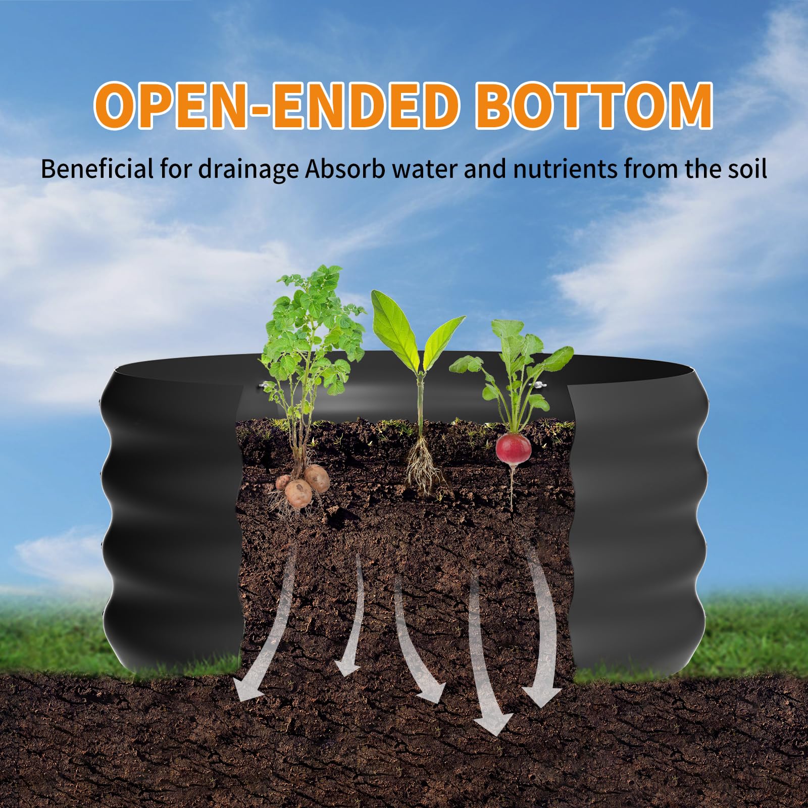 Besebay open-bottom view showing drainage design and healthy root access benefit
