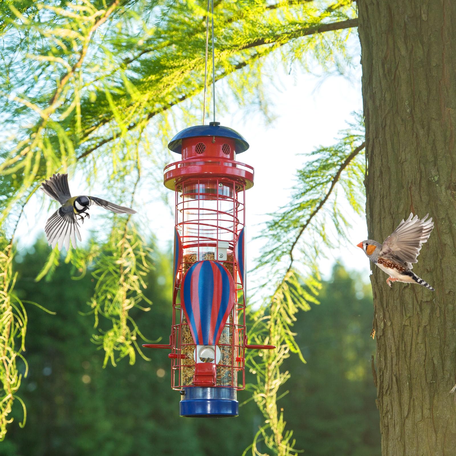 Beserie birds feeding in use with small songbirds enjoying accessible ports benefit