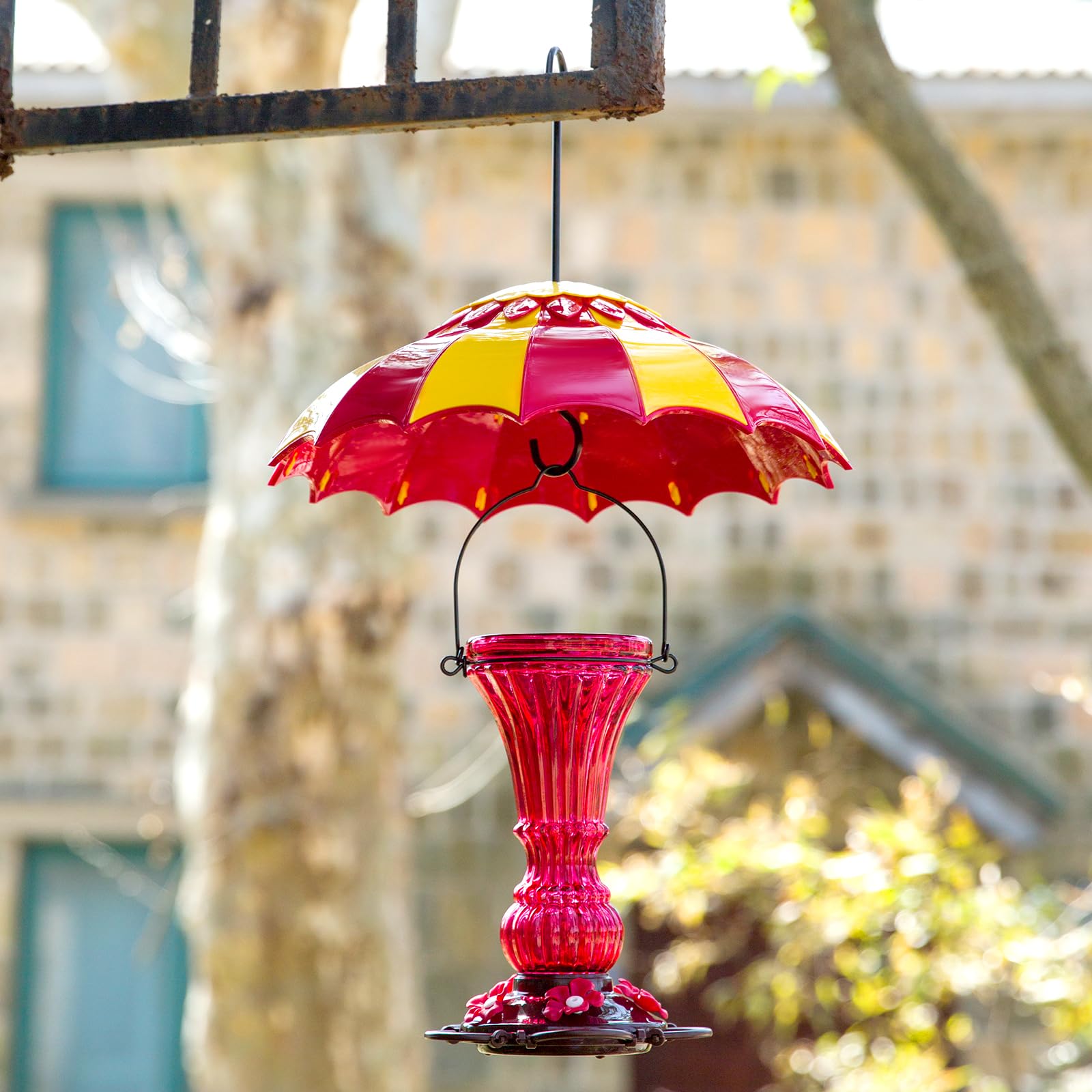 Beserie shown in a backyard setting providing shade and reducing squirrel access
