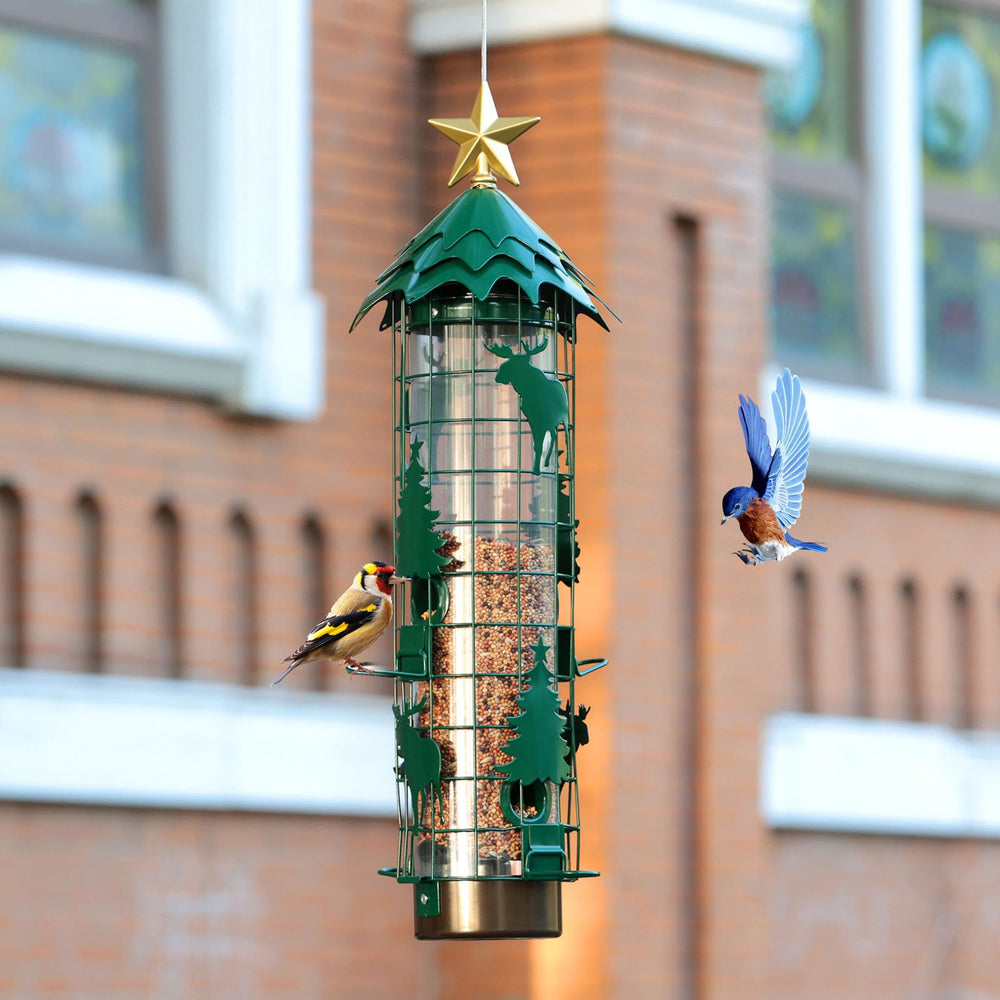 Beserie feeder held beside hand to show 2.5lb capacity and compact outdoor scale