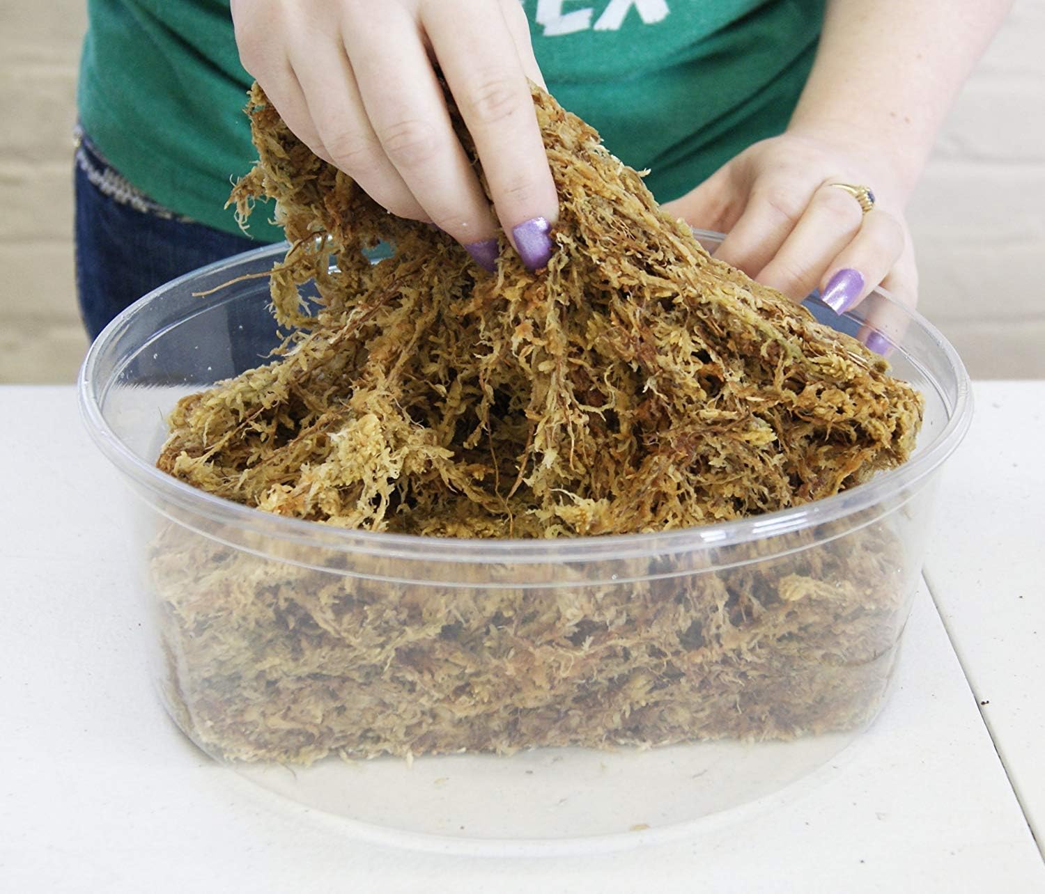 besgrow demonstration of hydrated moss holding water for steady moisture