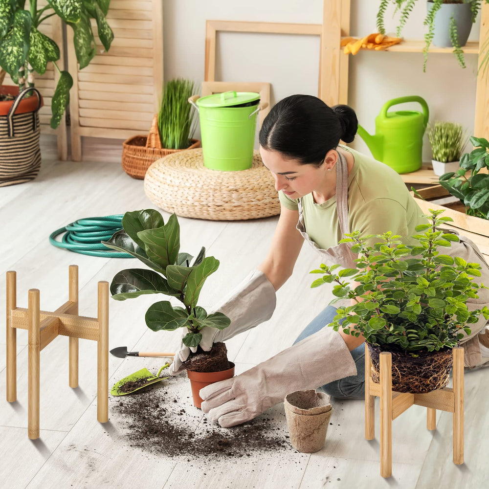BESHOF in a living room styling a fiddle leaf fig to add natural warmth