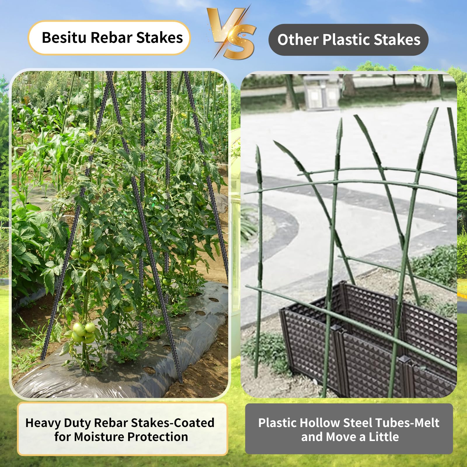 Besitu stakes used to anchor a newly planted tree, stabilizing trunk and roots
