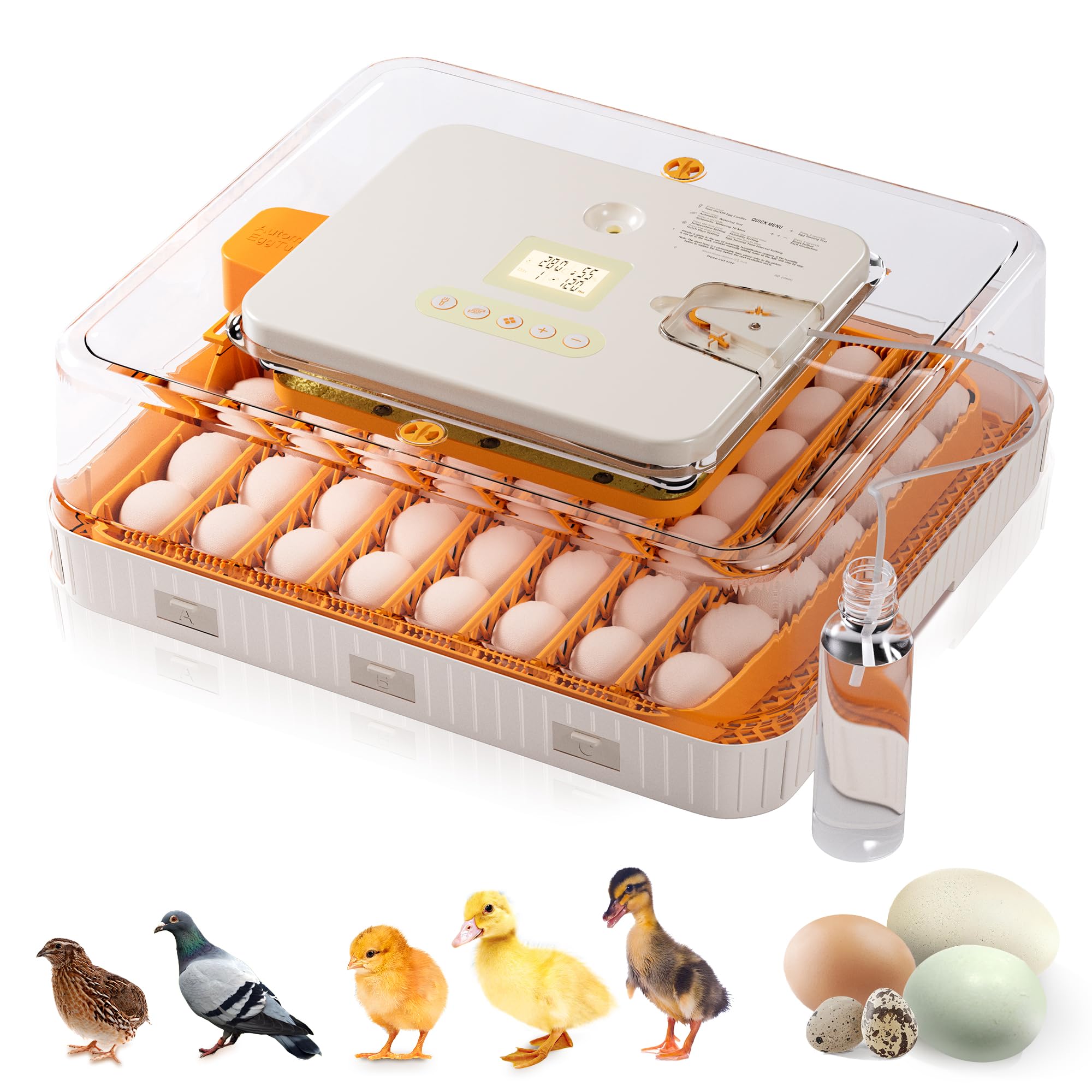 Besly front view showing full incubator and easy-access lid, convenient monitoring