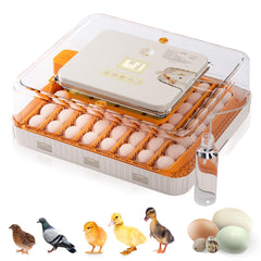 Besly front view showing full incubator and easy-access lid, convenient monitoring