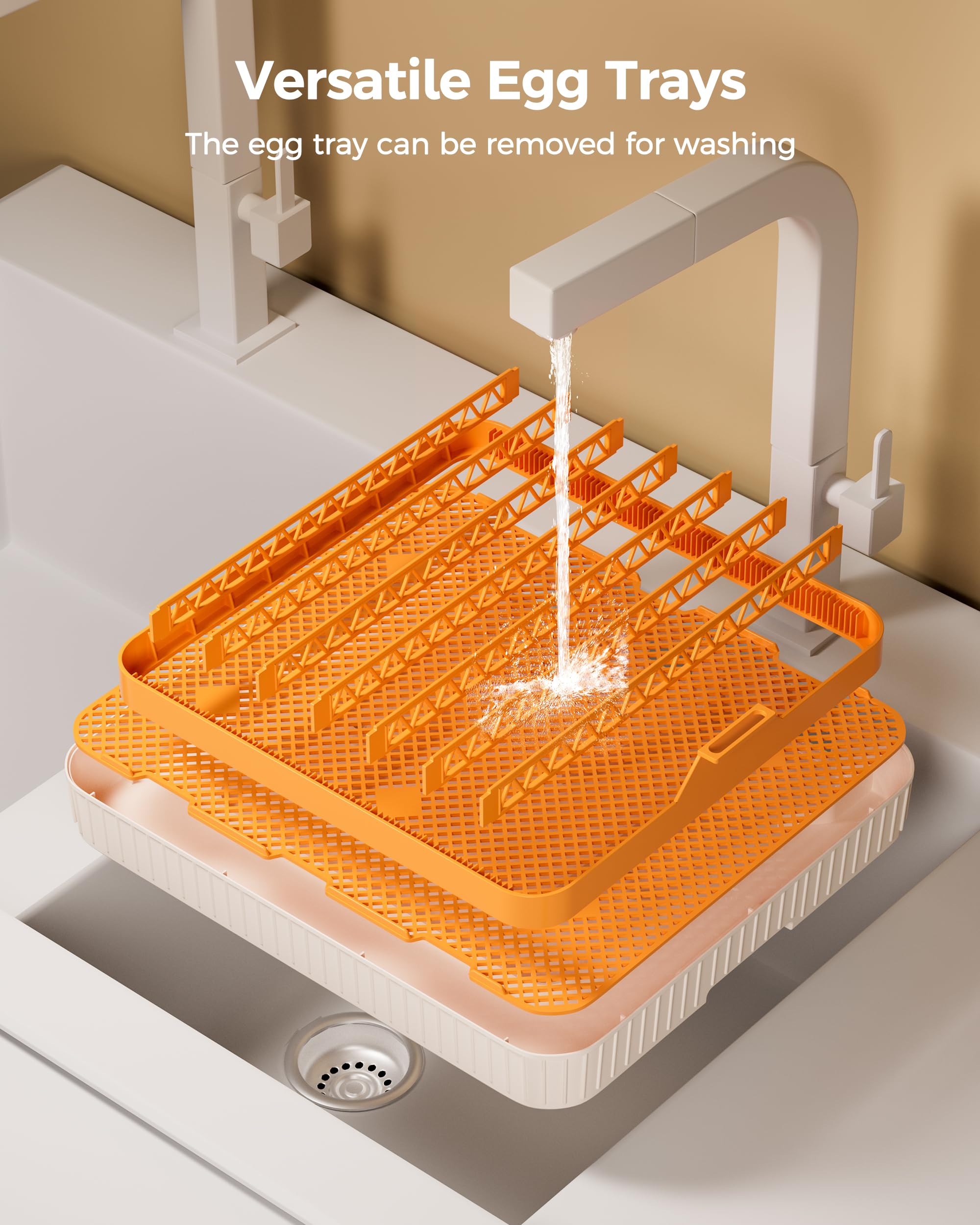 Besly incubator used in classroom for educational hatching demonstrations