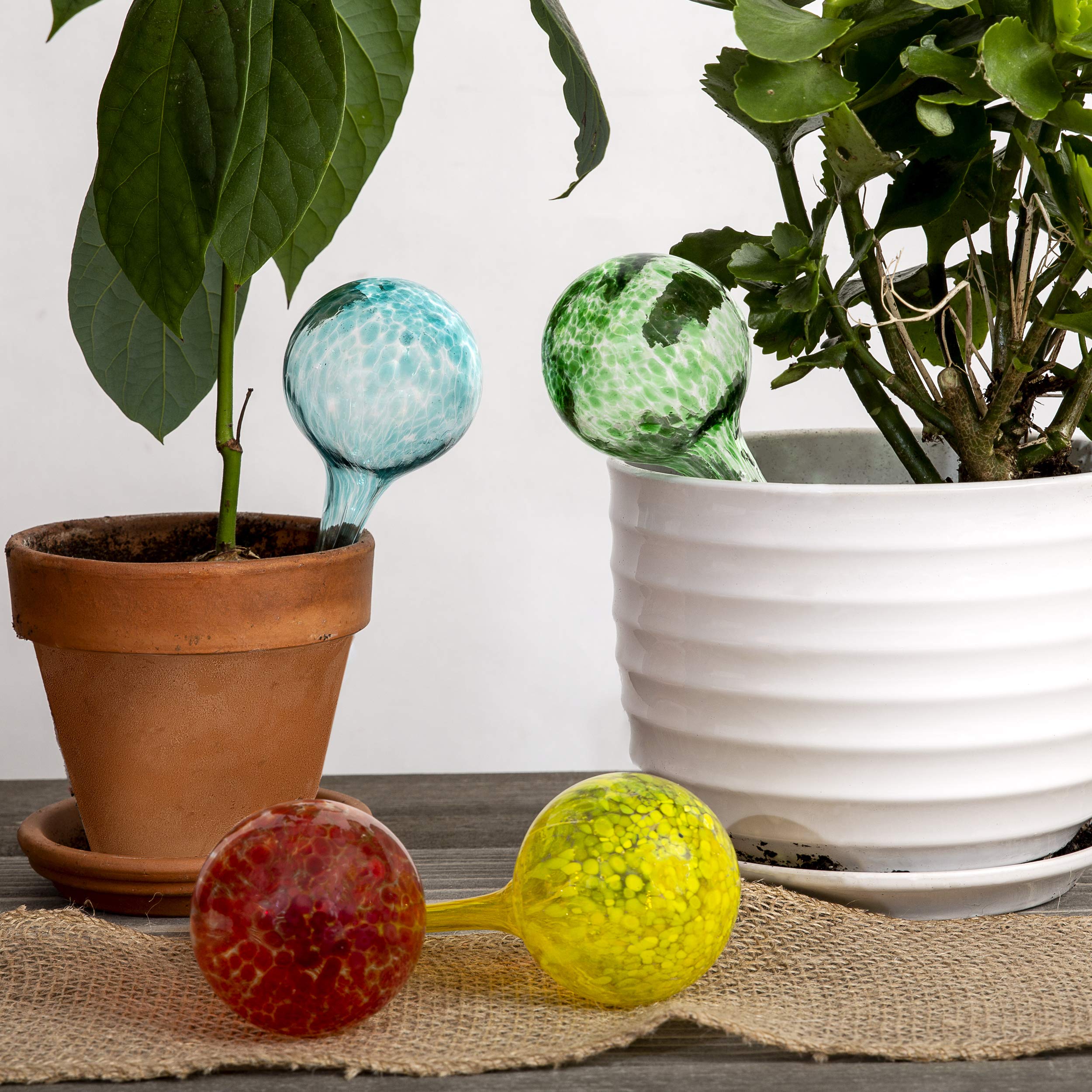 Besti globos insertados en maceta interior, mantienen humedad constante