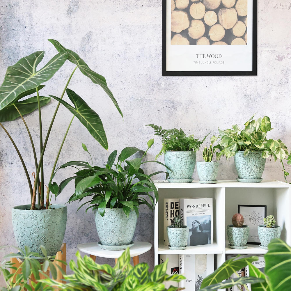 Bestseler planter with succulent planted showcasing indoor-ready style benefit: instant decor upgrade