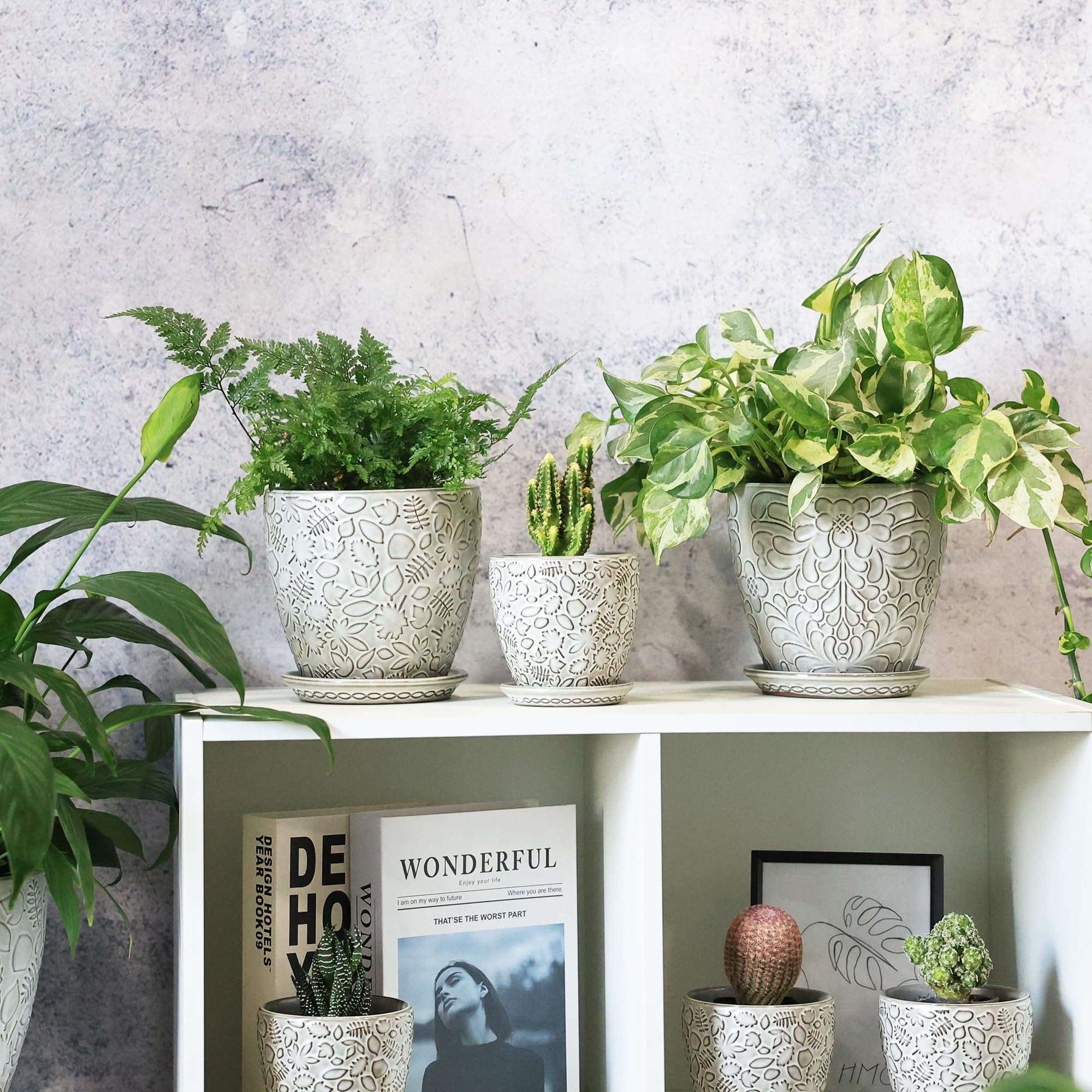 Bestseler scale comparison beside a 5-inch nursery pot showing fit and sizing clarity