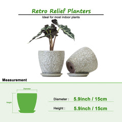 Bestseler top-down shot with succulent showing compact fit and attractive display