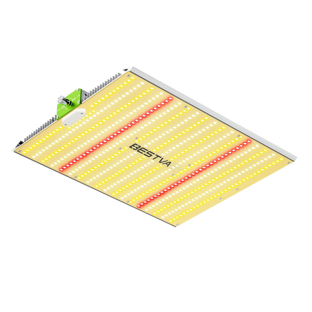 BESTVA BP1000 front view showing full-spectrum panels and compact design benefits