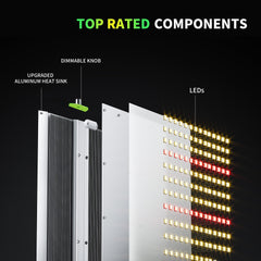 BESTVA BP2000 illuminating windowsill herbs for healthier growth
