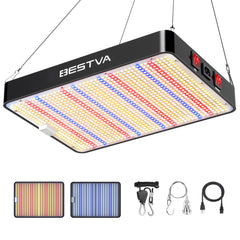 BESTVA DC2000 front panel showing LEDs and frame for even coverage