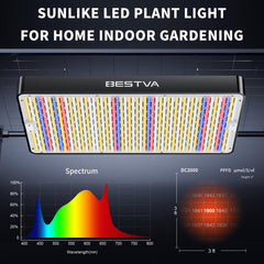BESTVA DC2000 close-up of LED array highlighting efficient light output