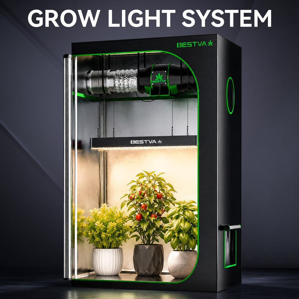 BESTVA DC2000 over kitchen herb garden showing healthy indoor plants