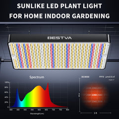 BESTVA DC4000 LED panel close-up highlighting diode density benefit