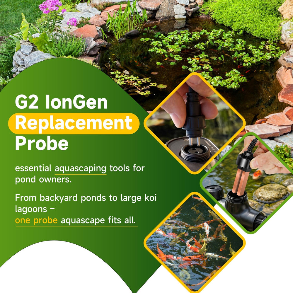 Betollo G2 probe waterline and seal close-up showing tight, reliable sealing benefit
