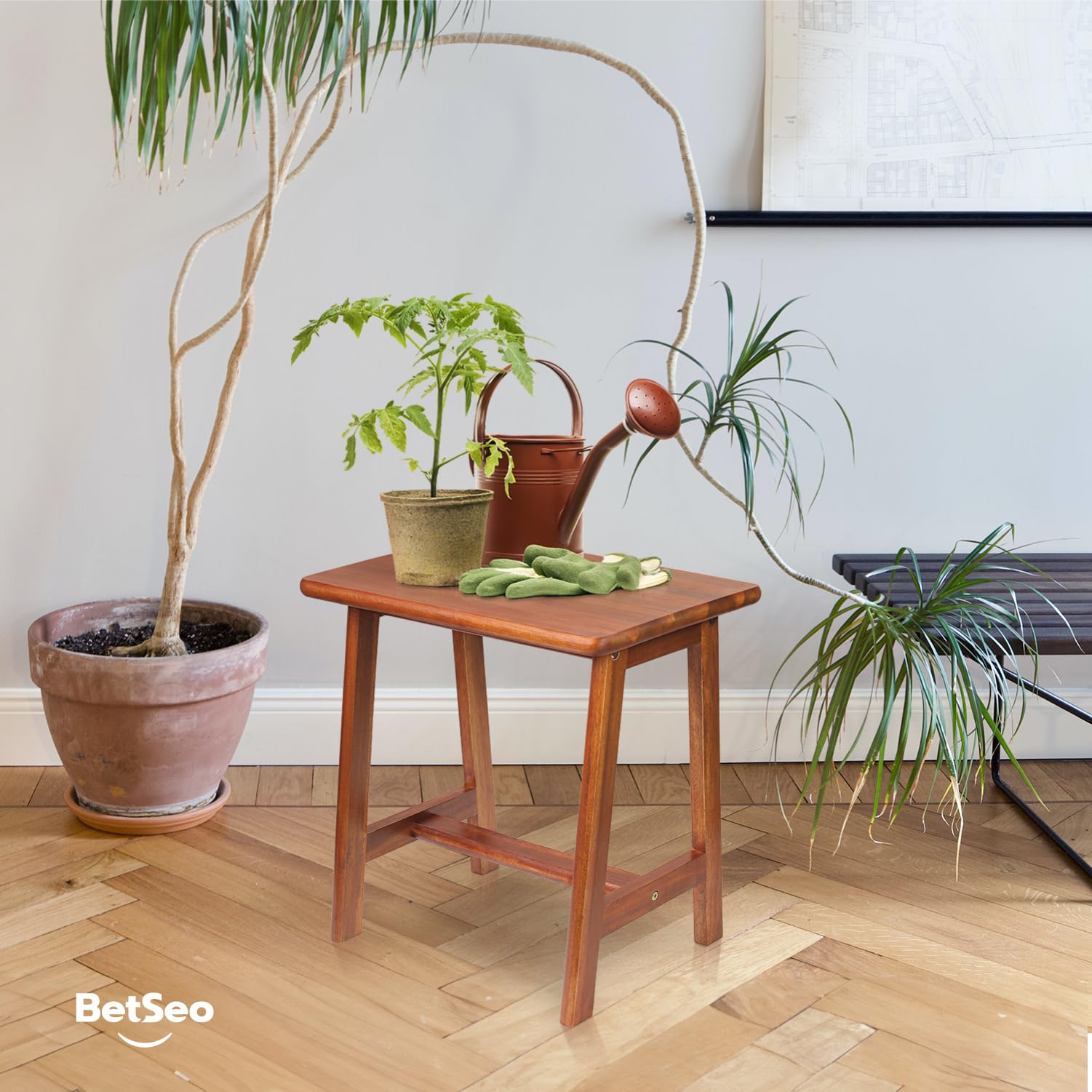 BETSEO acacia stool with plant display illustrating decorative versatility