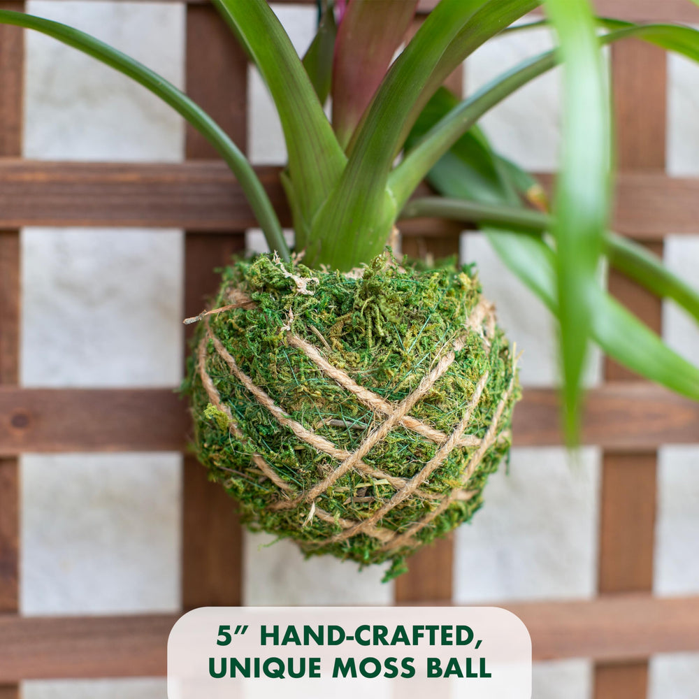 Better-Gro hook and label detail showing secure hanging hardware and plant information