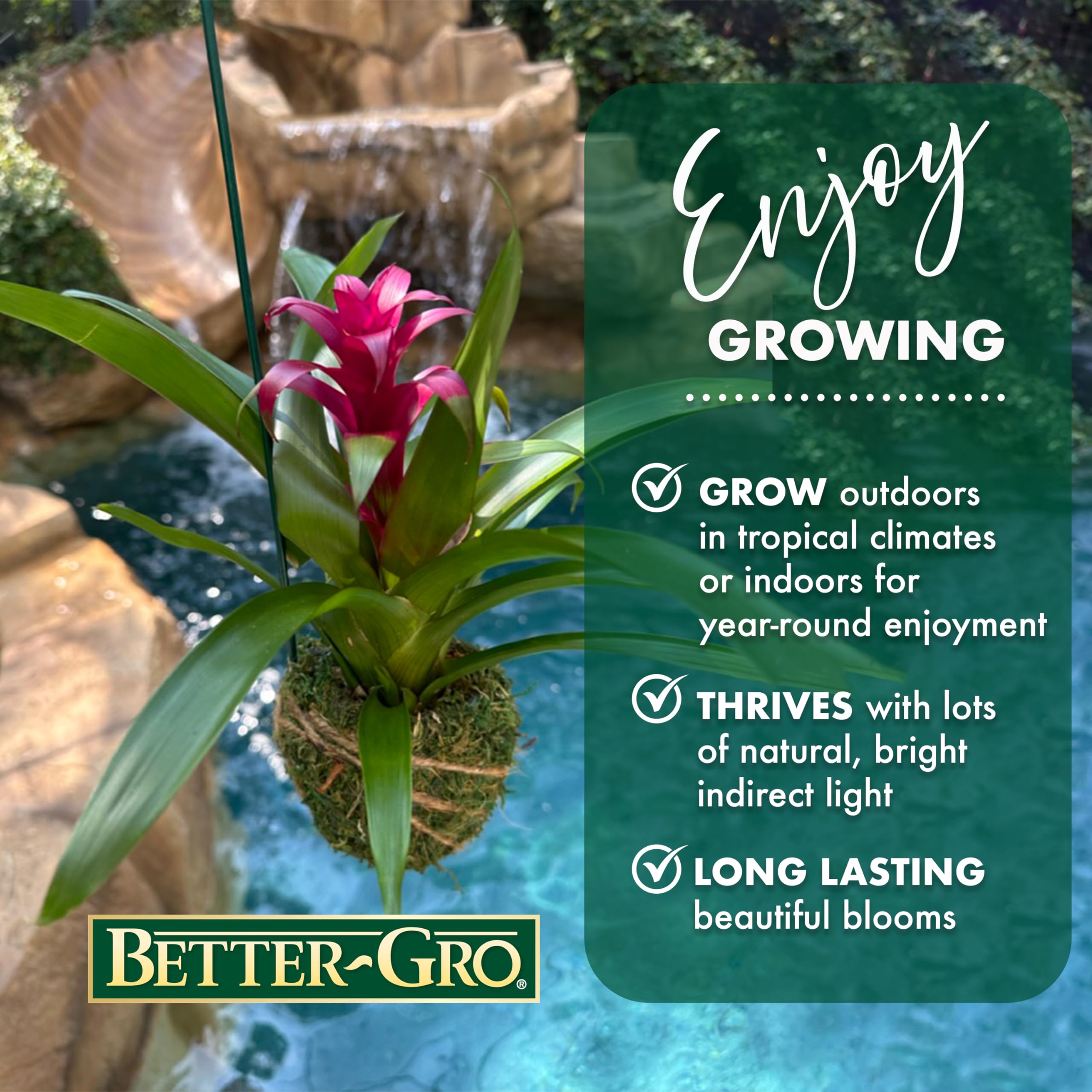Better-Gro moss ball closeup showing texture and moisture-retaining surface for easier care