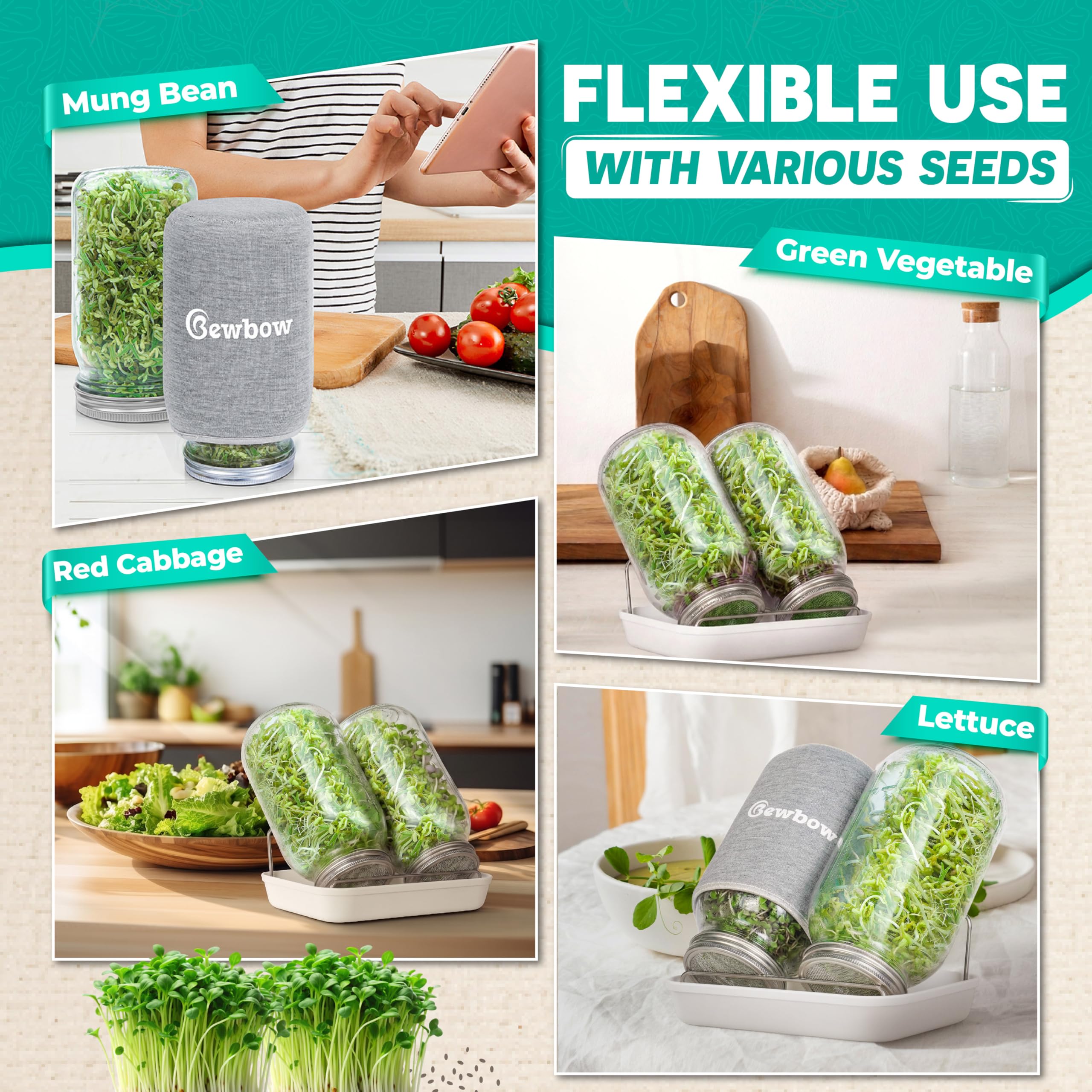 Bewbow kit staged on kitchen counter showing easy countertop sprouting setup