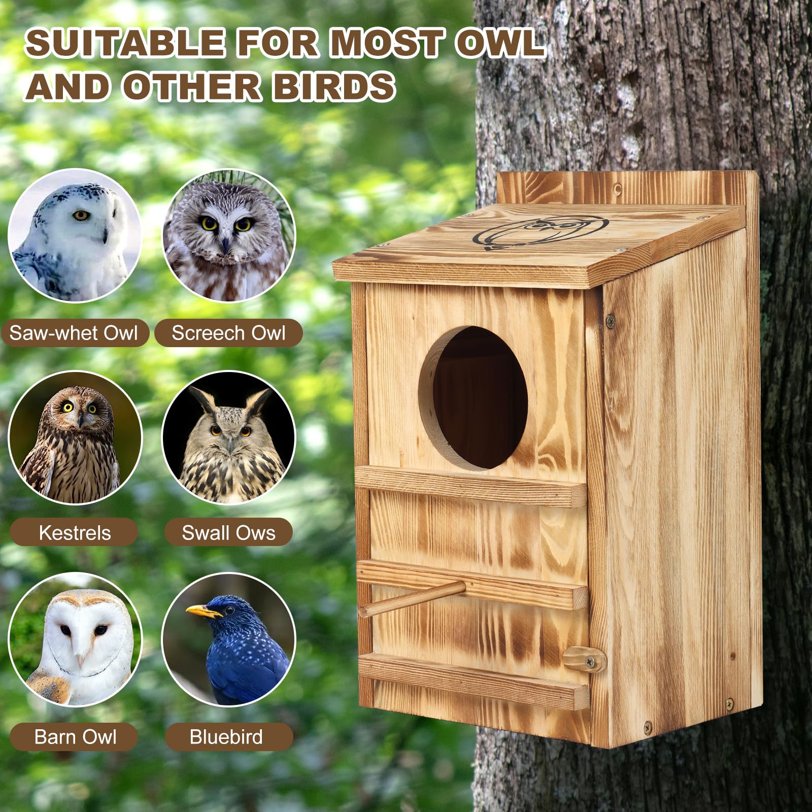 BFAZKXY interior with wood shavings showing cozy nesting benefit
