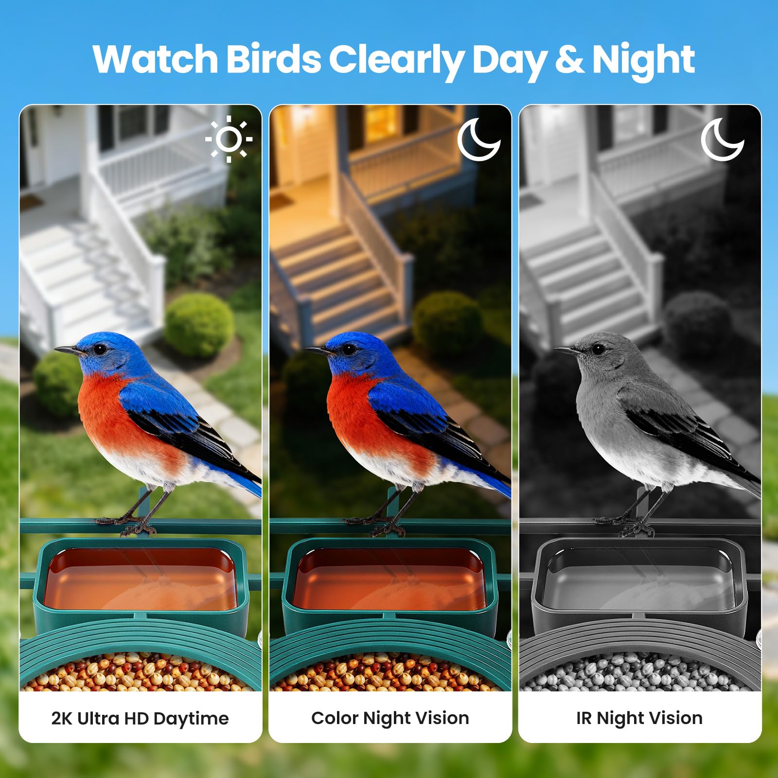 BFECUCA mobile app live stream screenshot showing instant alerts and remote viewing benefit