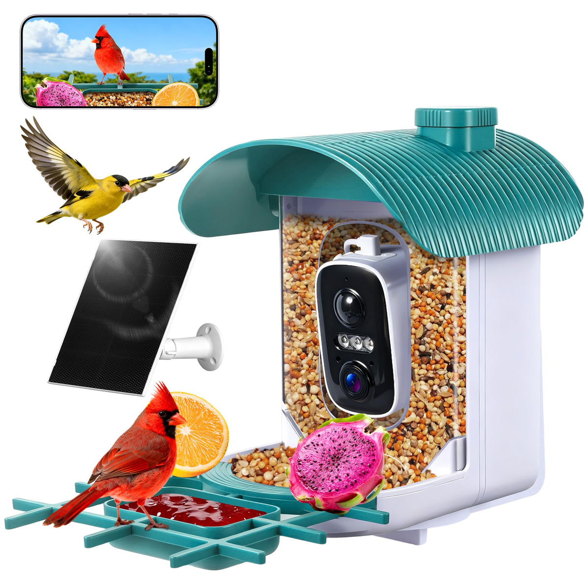 BFECUCA front view of feeder camera showing overall design and easy mounting benefit
