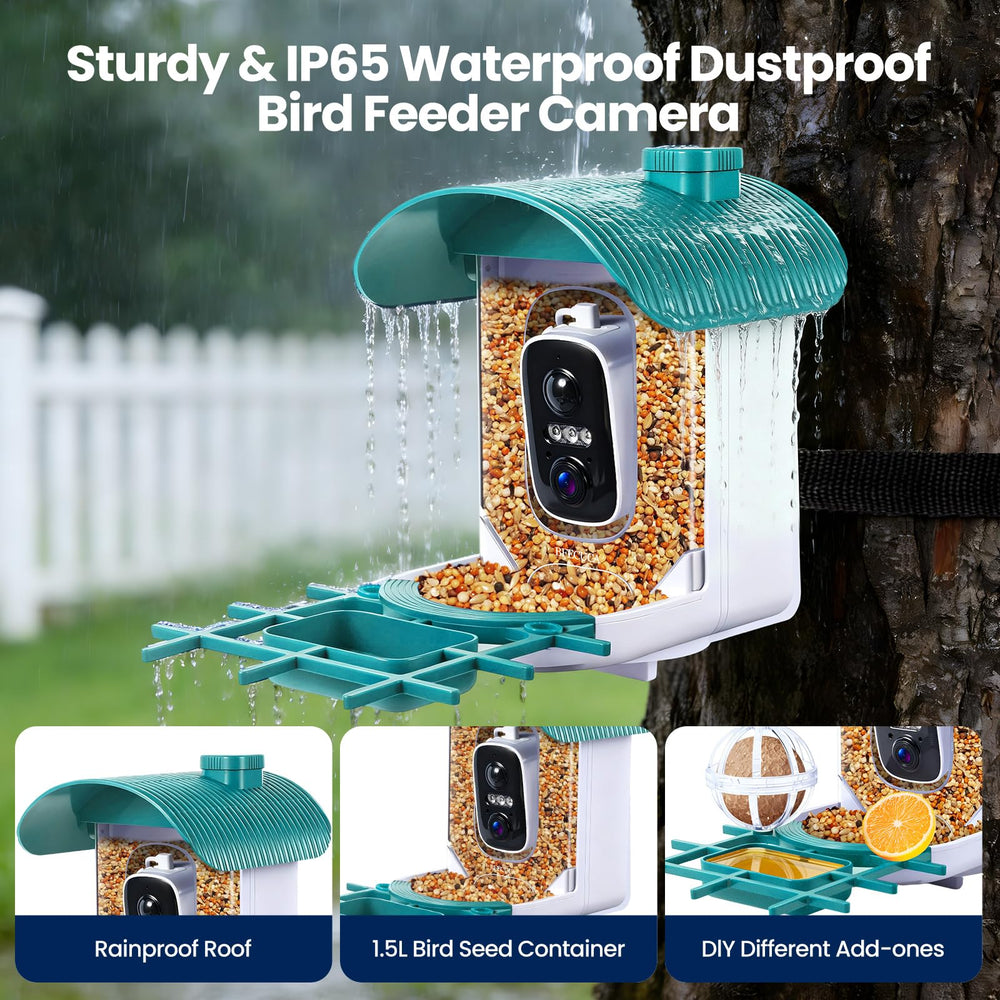 BFECUCA feeder in use with bird feeding showing natural viewing and attraction benefit