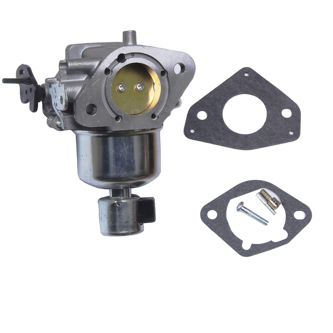 BH-Motor front view of carburetor showing ports and clean fit for easy replacement