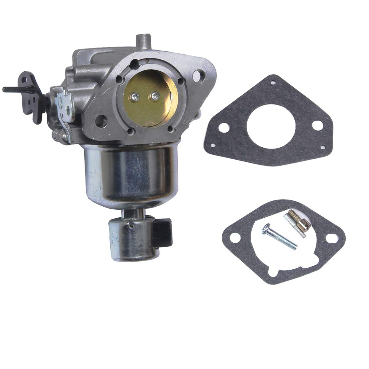 BH-Motor front view of carburetor showing ports and clean fit for easy replacement