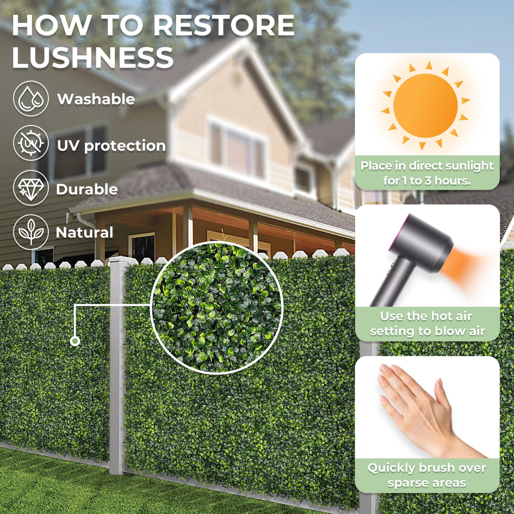 BHXCL installed on a patio wall creating privacy and low-maintenance greenery benefit