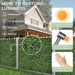 BHXCL installed on a patio wall creating privacy and low-maintenance greenery benefit