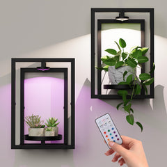 Bibiventa front view showing two wall plant frames and modern appeal