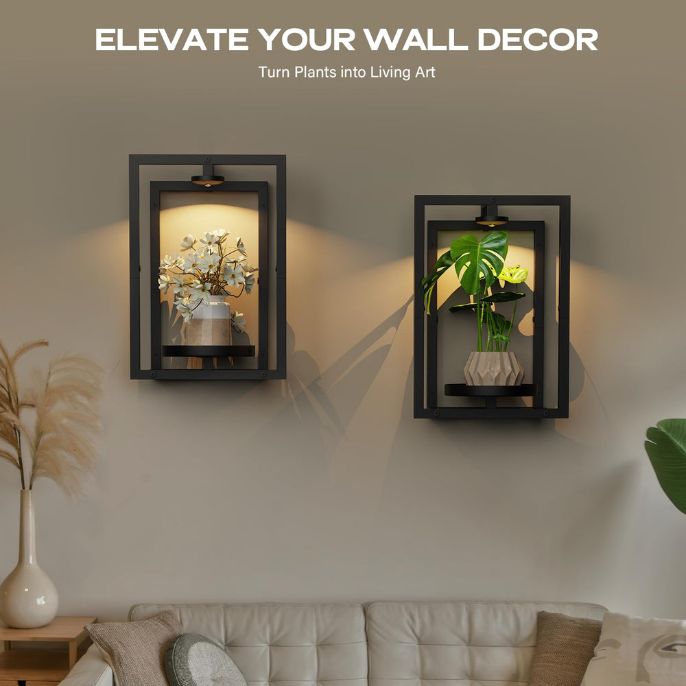 Bibiventa styled entryway with mounted plant frames enhancing décor