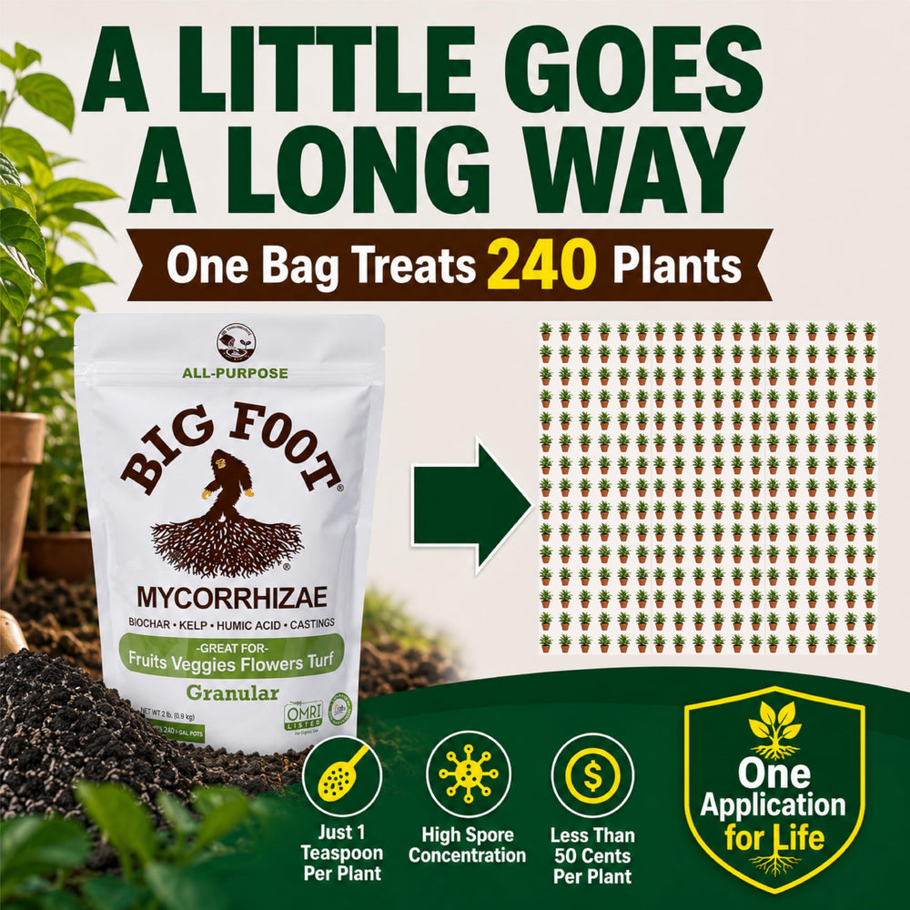 Big Foot etiqueta con instrucciones y beneficios claros